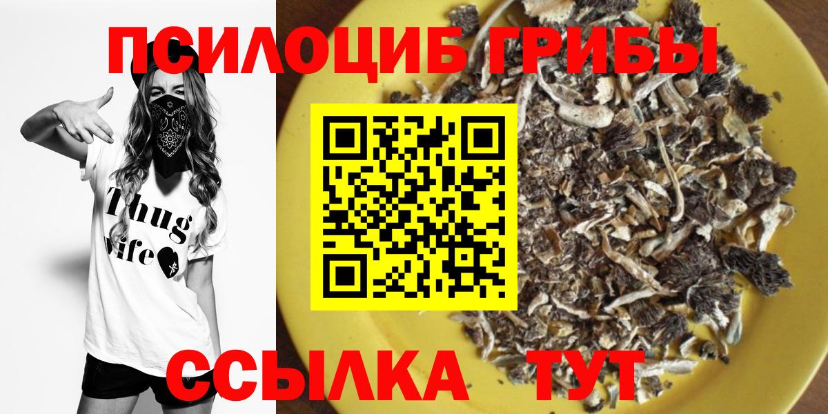 Псилоцибиновые грибы мухоморы Мелеуз